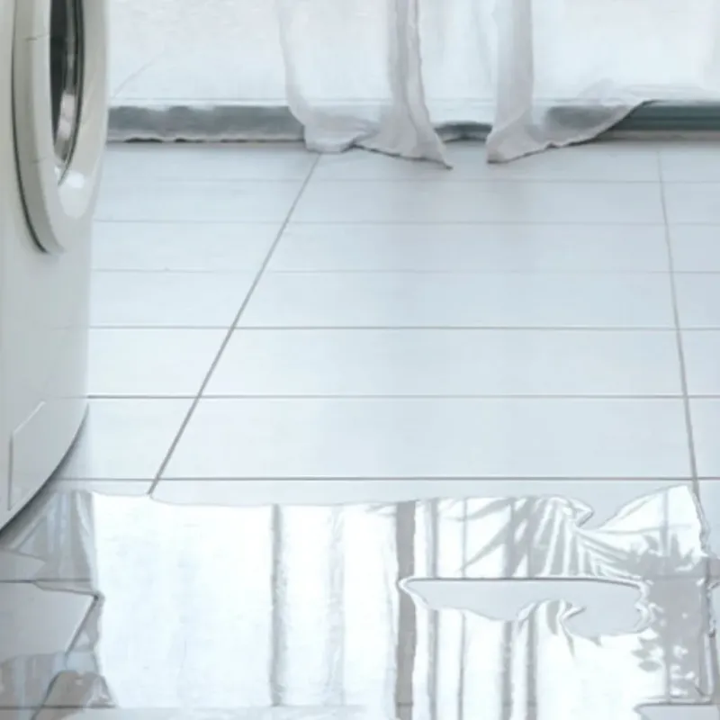Appliance Leak Cleanup in Colusa, CA